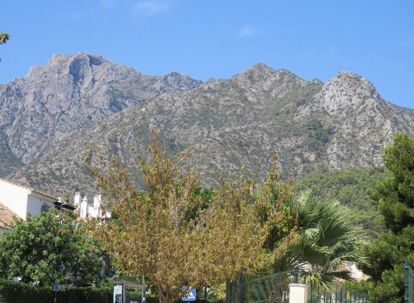 Apartamento Bien Situado En Marbella Exterior photo